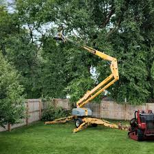 Best Tree Disease Treatment  in Bowdon, GA